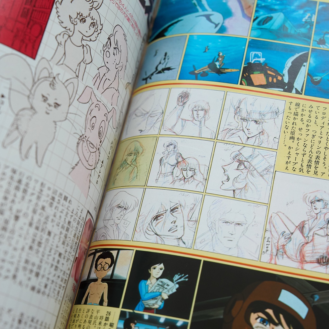 Animage, August 1981 (No. 38), photograph 13