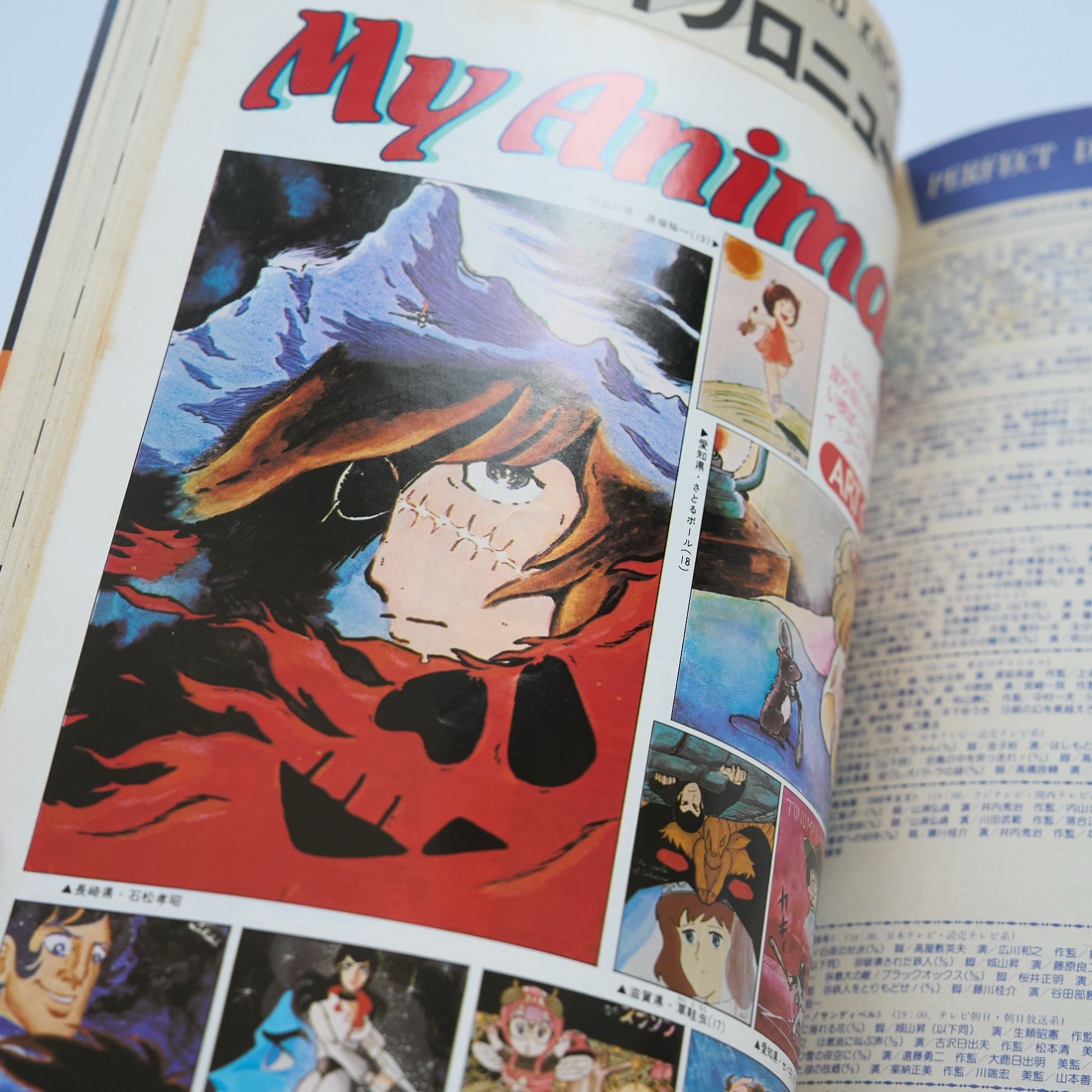 Animage, August 1981 (No. 38), photograph 17