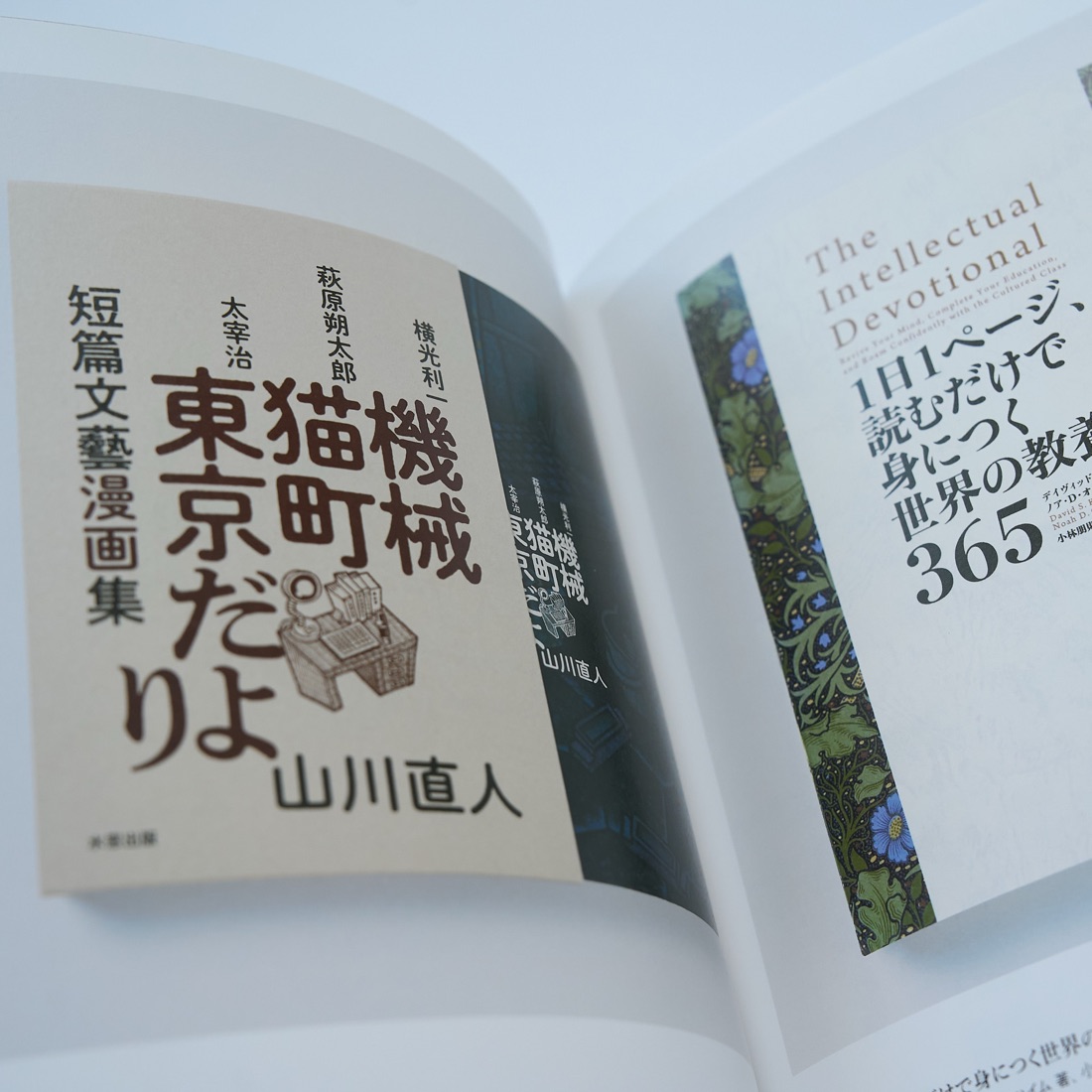 Beautiful Book Design, photograph 13