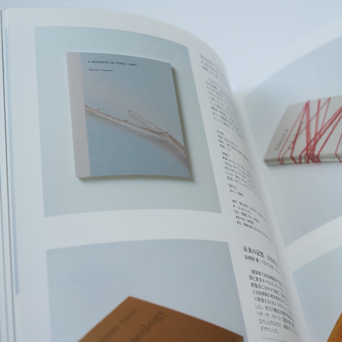 Beautiful Book Design, photograph 16