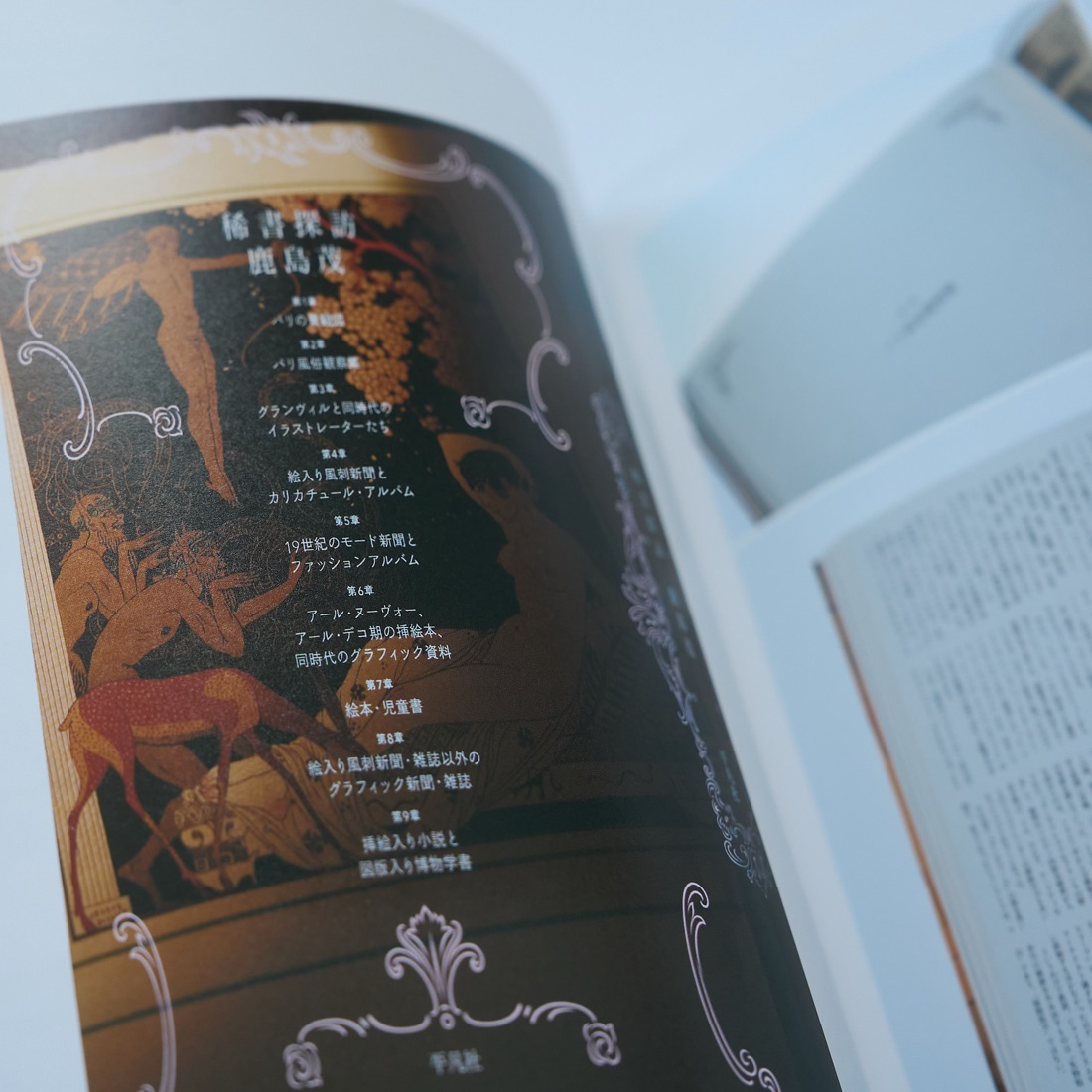 Beautiful Book Design, photograph 22
