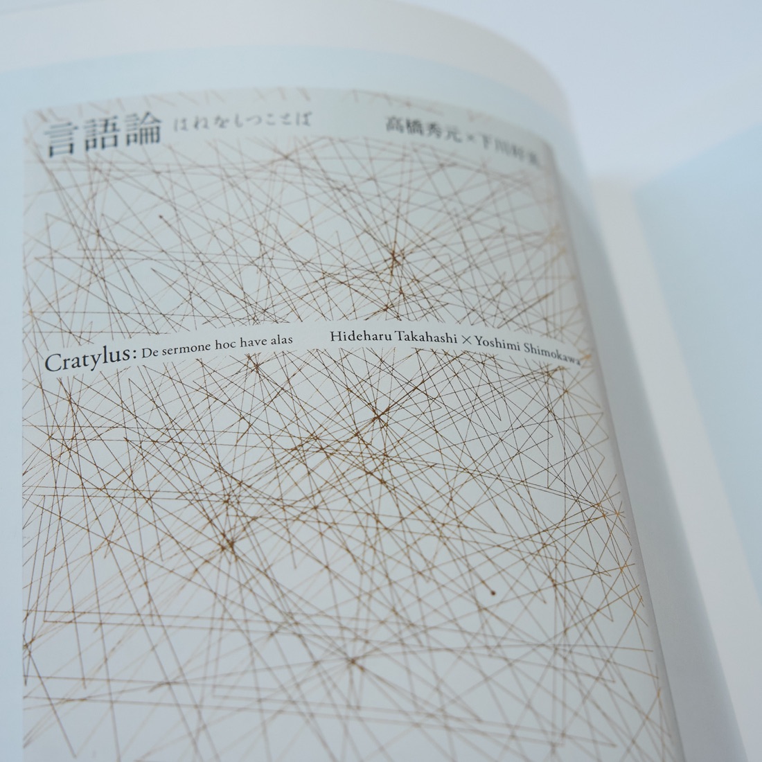 Beautiful Book Design, photograph 23