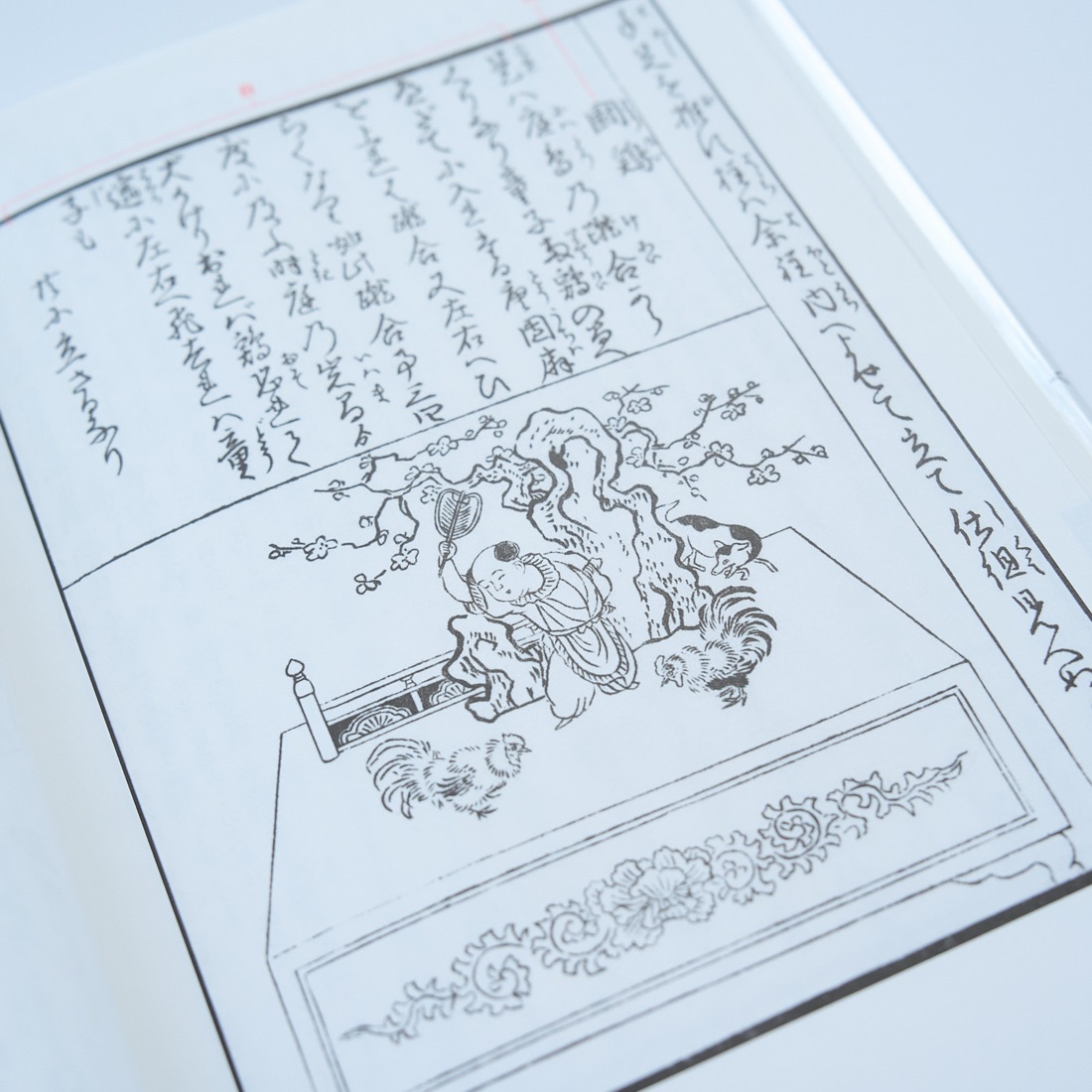 Karakuri Zui (Annotated, Revised), photograph 16