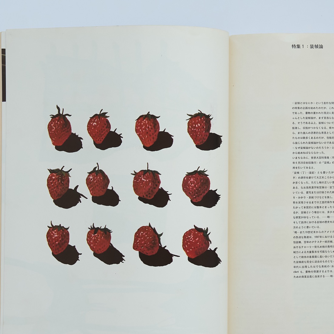 Quarterly Design No.5 (Spring 1974), photograph 5