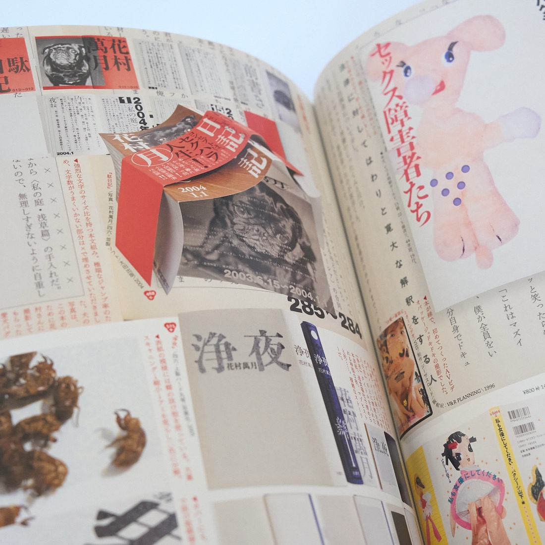 Shin Sobue + Cozfish, photograph 20