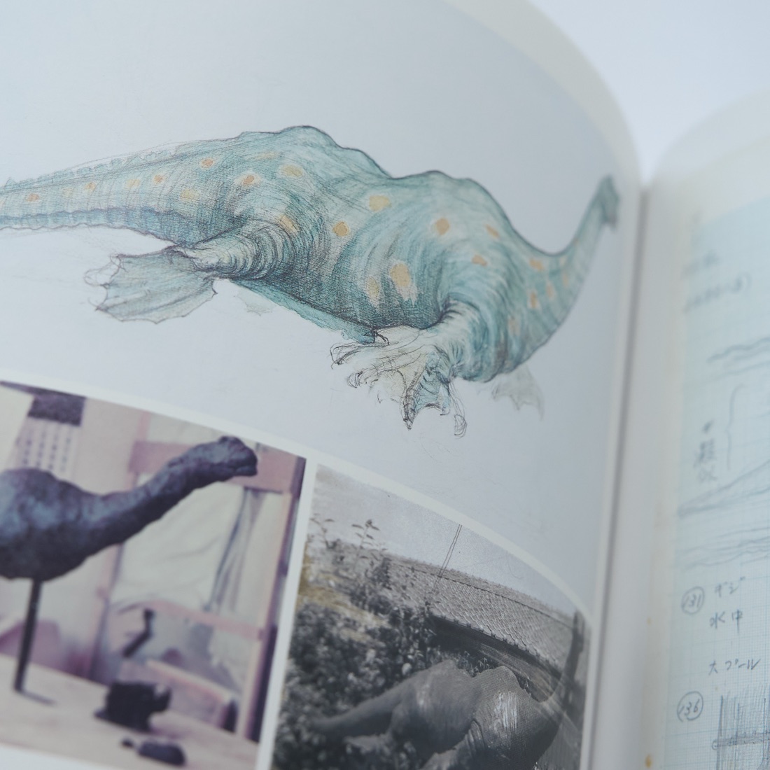 Yasuyuki Inoue Exhibition Catalogue, photograph 17
